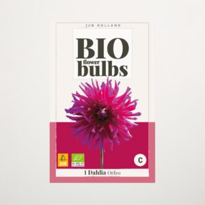 BIO Dahlie 'Orfeo' - Knolle