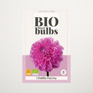 BIO Dahlie 'Pink Pop' - Knolle