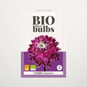 BIO Dahlie 'Vancouver' - Knolle