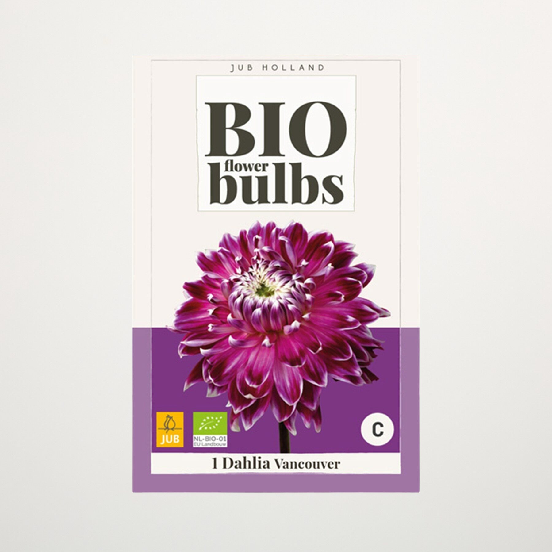 BIO Dahlie 'Vancouver' - Knolle