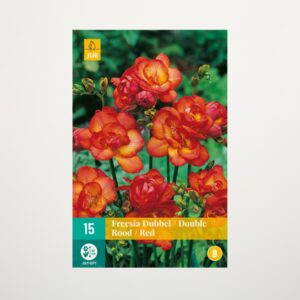 Gefüllte Freesien 'Double Red' - 15 Knollen