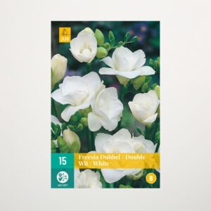 Gefüllte Freesien 'Double White' - 15 Knollen