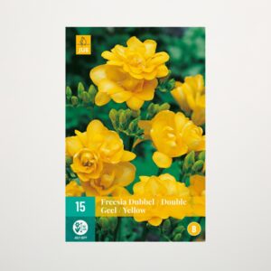 Gefüllte Freesien 'Double Yellow' - 15 Knollen