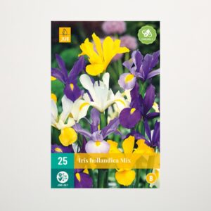 Holländische Schwertlilien Mix - 25 Knollen