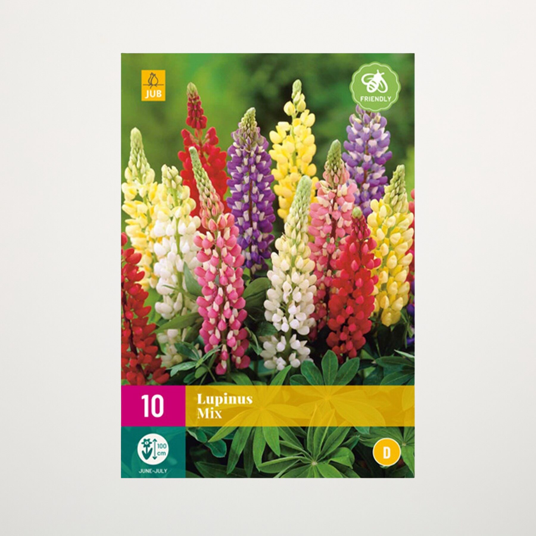 Lupinen Mix - 10 Wurzeln – Bild 2