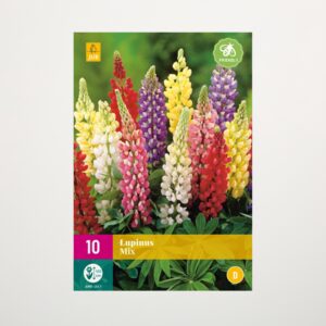 Lupinen Mix - 10 Wurzeln