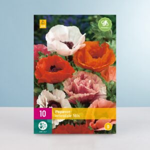 Türkischer Mohn Mix - 10 Wurzeln