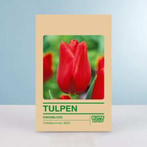 Einfache späte Tulpe 'Kingsblood' - 10 Zwiebeln