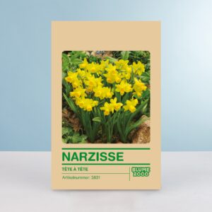 Narzisse 'Tete a Tete' - 5 Stück