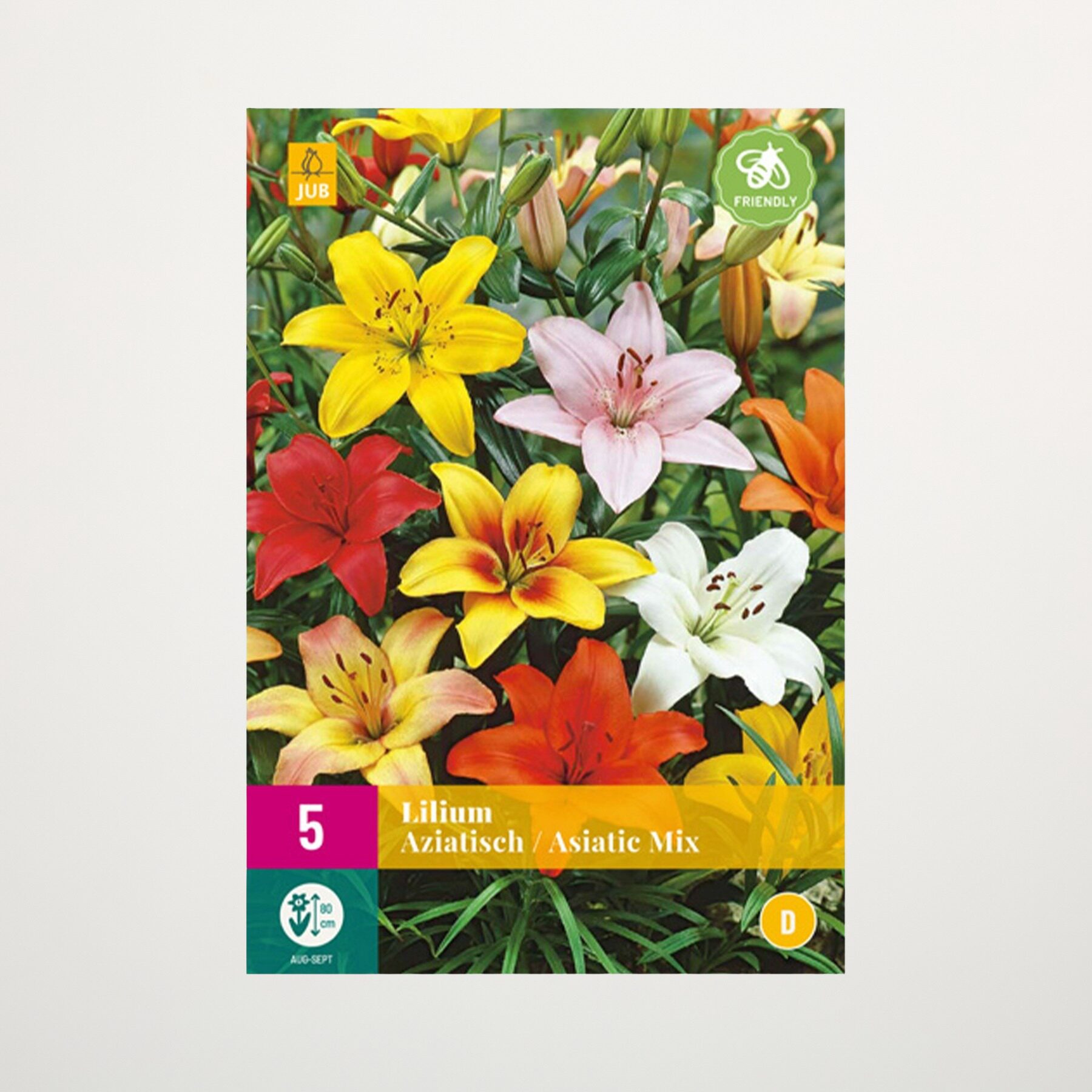 Asiatische Lilien Mix - 5 Knollen