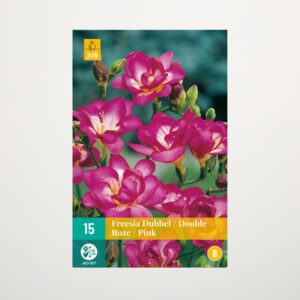 Gefüllte Freesien 'Double Pink' - 15 Knollen