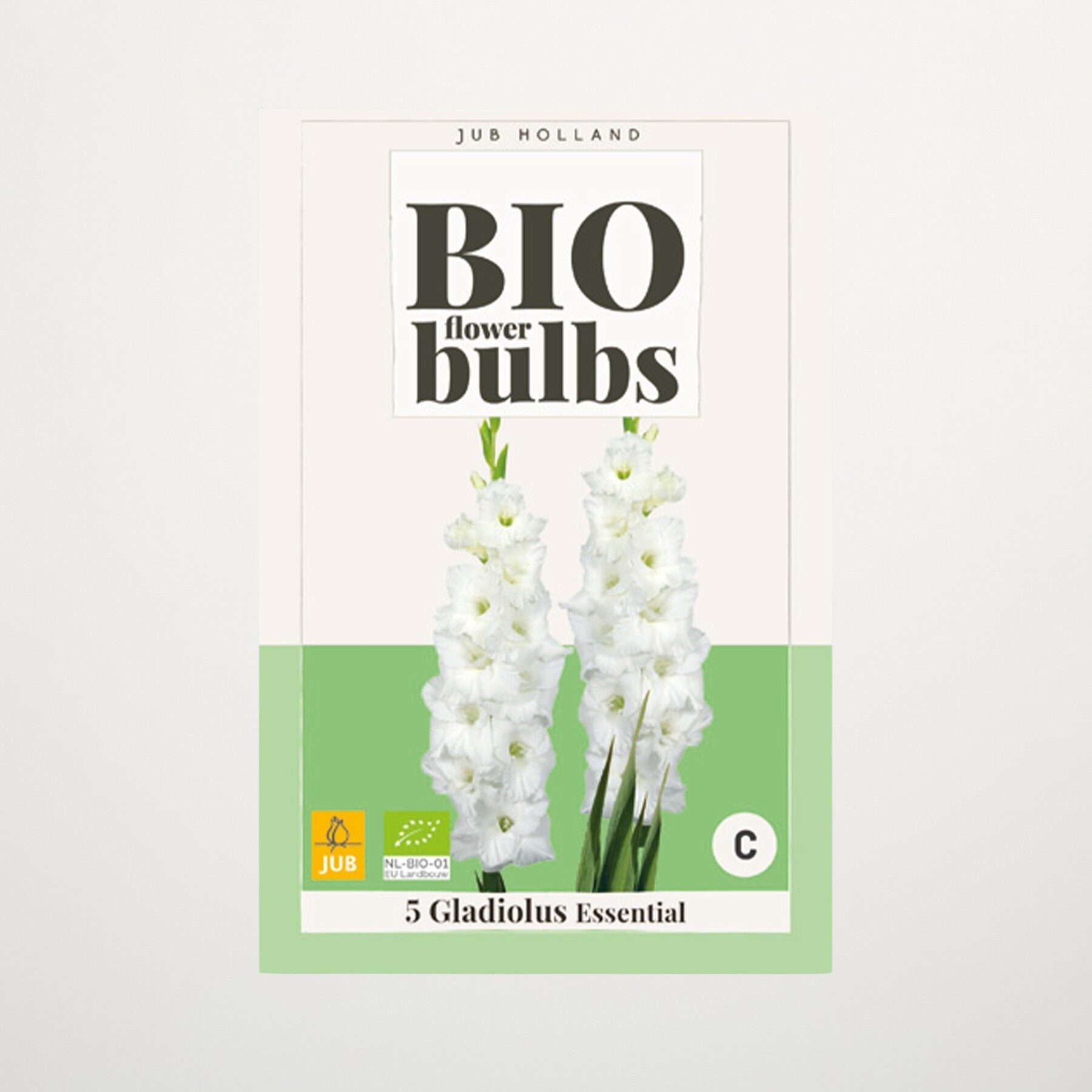 BIO Gladiole 'Essential' - 5 Knollen