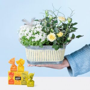 Federspiel mit Tartufi - Trio 42g