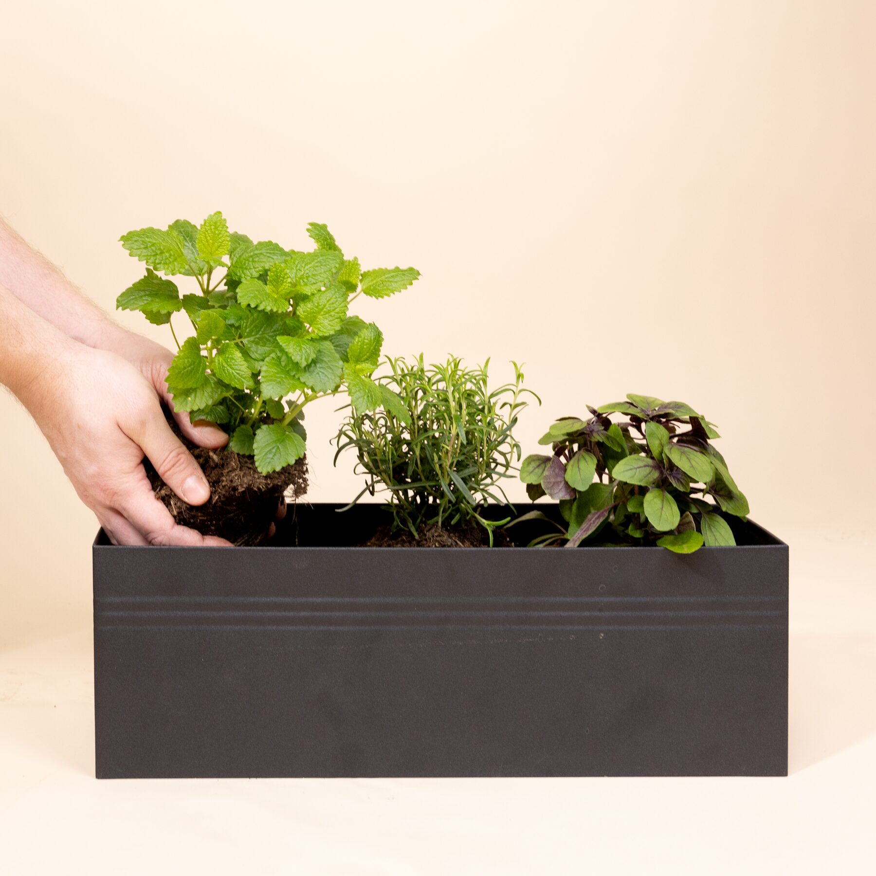 Metall Plantbox Schwarz – Bild 2