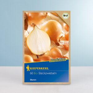 Steckzwiebel 'Sturon' - 60 Stück BIO