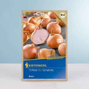Schalotte 'Biztro' - 10 Stück BIO