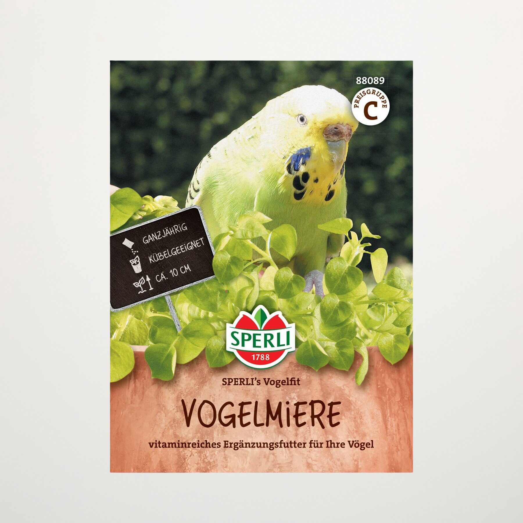 Vogelmiere 'SPERLI's Vogelfit' Samen