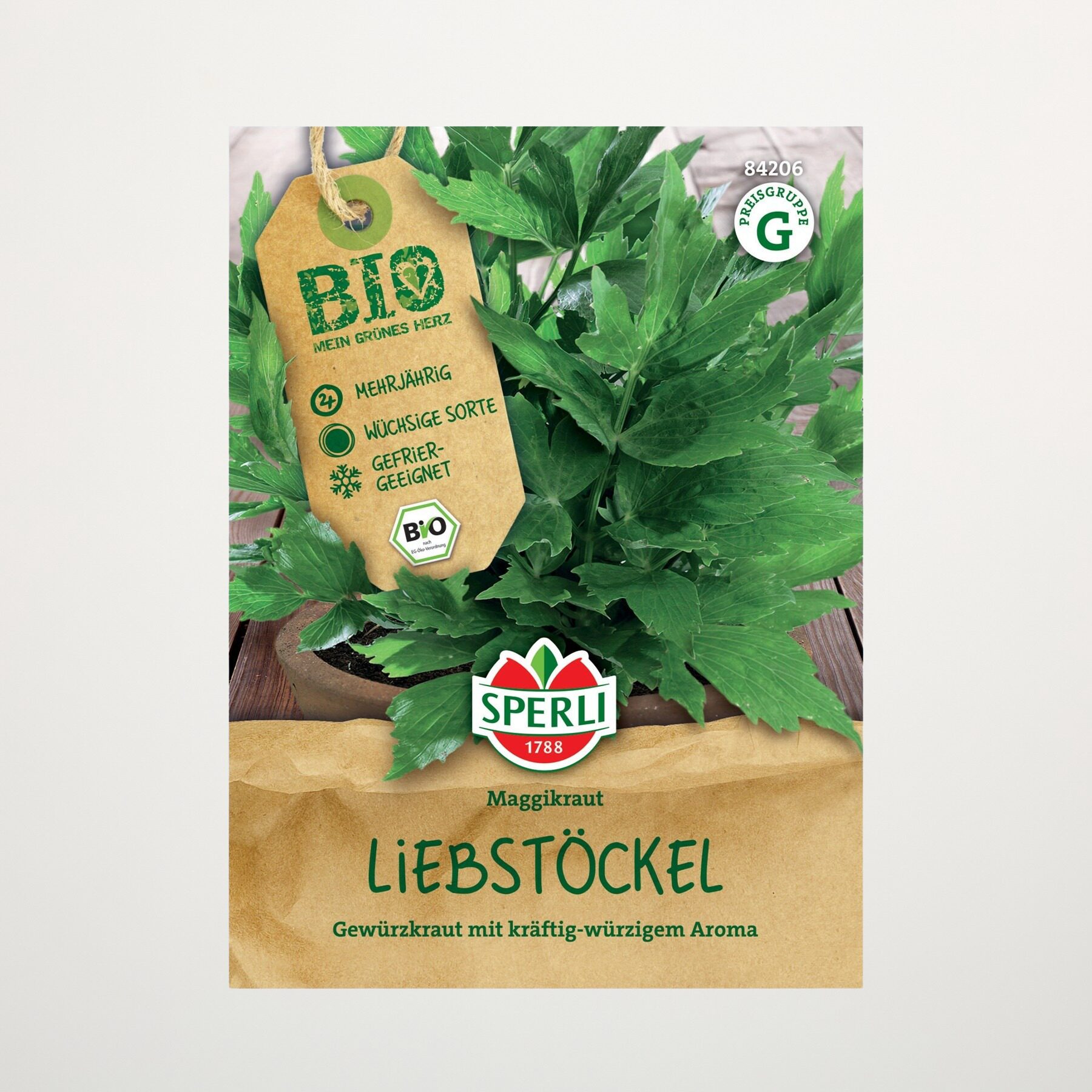 Liebstöckl 'Maggikraut' Samen BIO – Bild 2