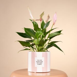 Keramik Übertopf Rosa - 10,5 cm