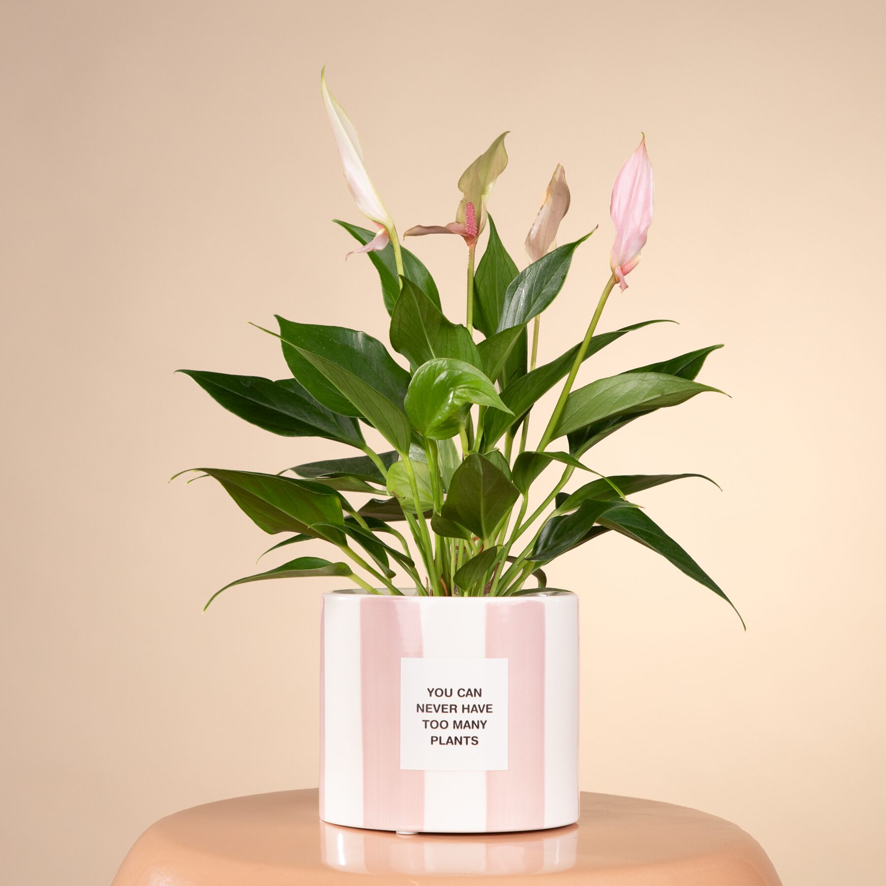 Keramik Übertopf Rosa - 10,5 cm