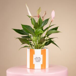 Keramik Übertopf Orange - 10,5 cm
