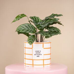 Keramik Übertopf Orange - 13 cm