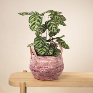 Seegras Korb Rosa - 24 cm