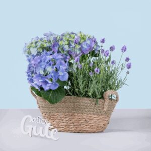 Sommertraum mit Alles Gute Holzschriftzug