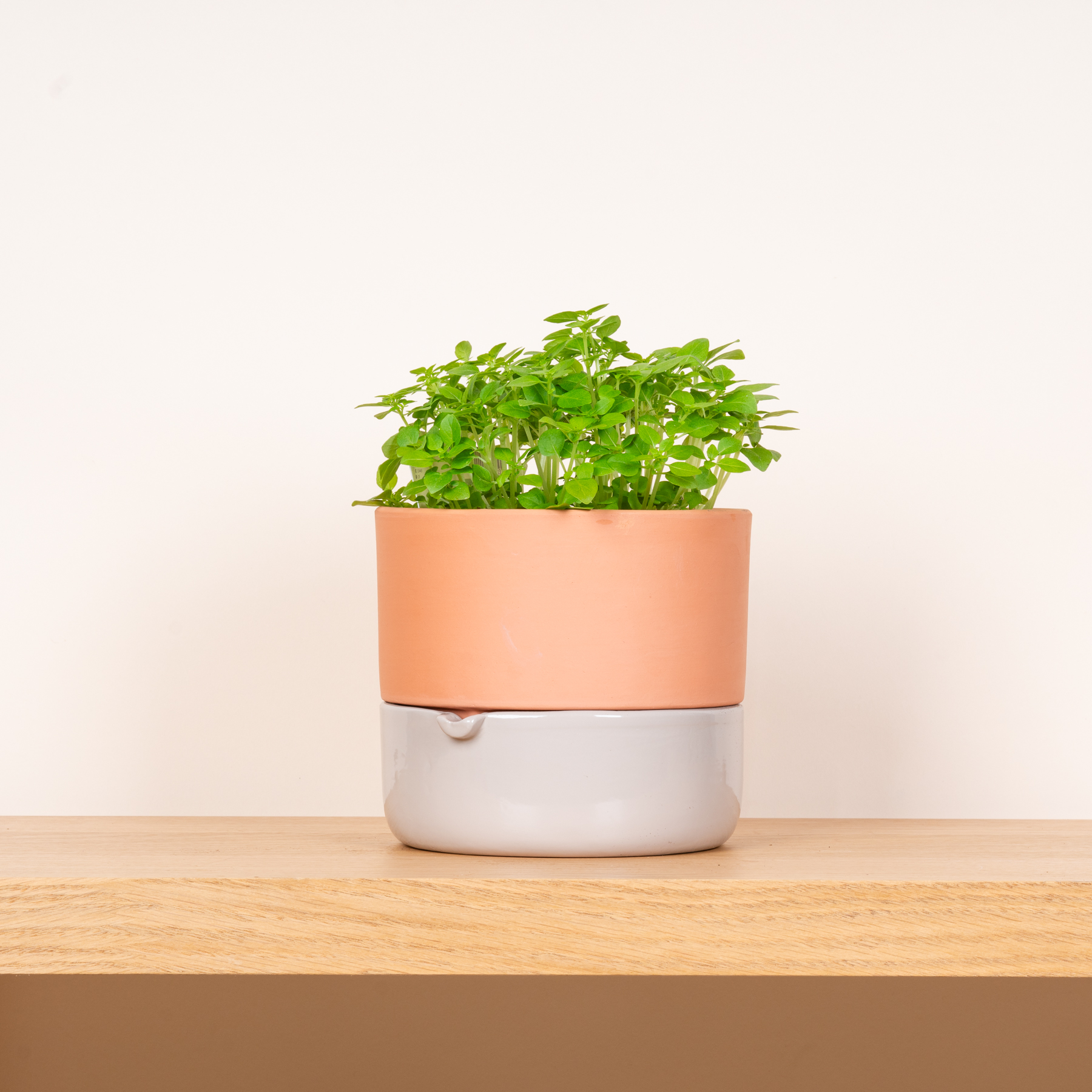 Keramik Bewässerungübertopf Beige - 14,5 cm