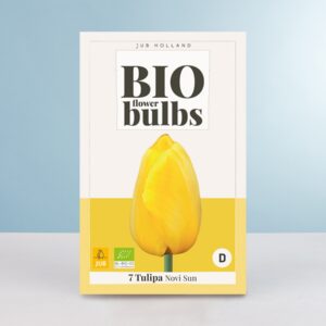 BIO Darwin-Hybrid-Tulpe 'Novi Sun' - 7 Zwiebeln