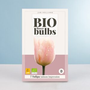 BIO Darwin-Hybrid-Tulpe 'Salmon Impression' - 7 Zwiebeln