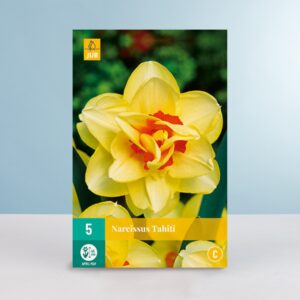 Gefüllte-Narzisse 'Tahiti' - 5 Zwiebeln