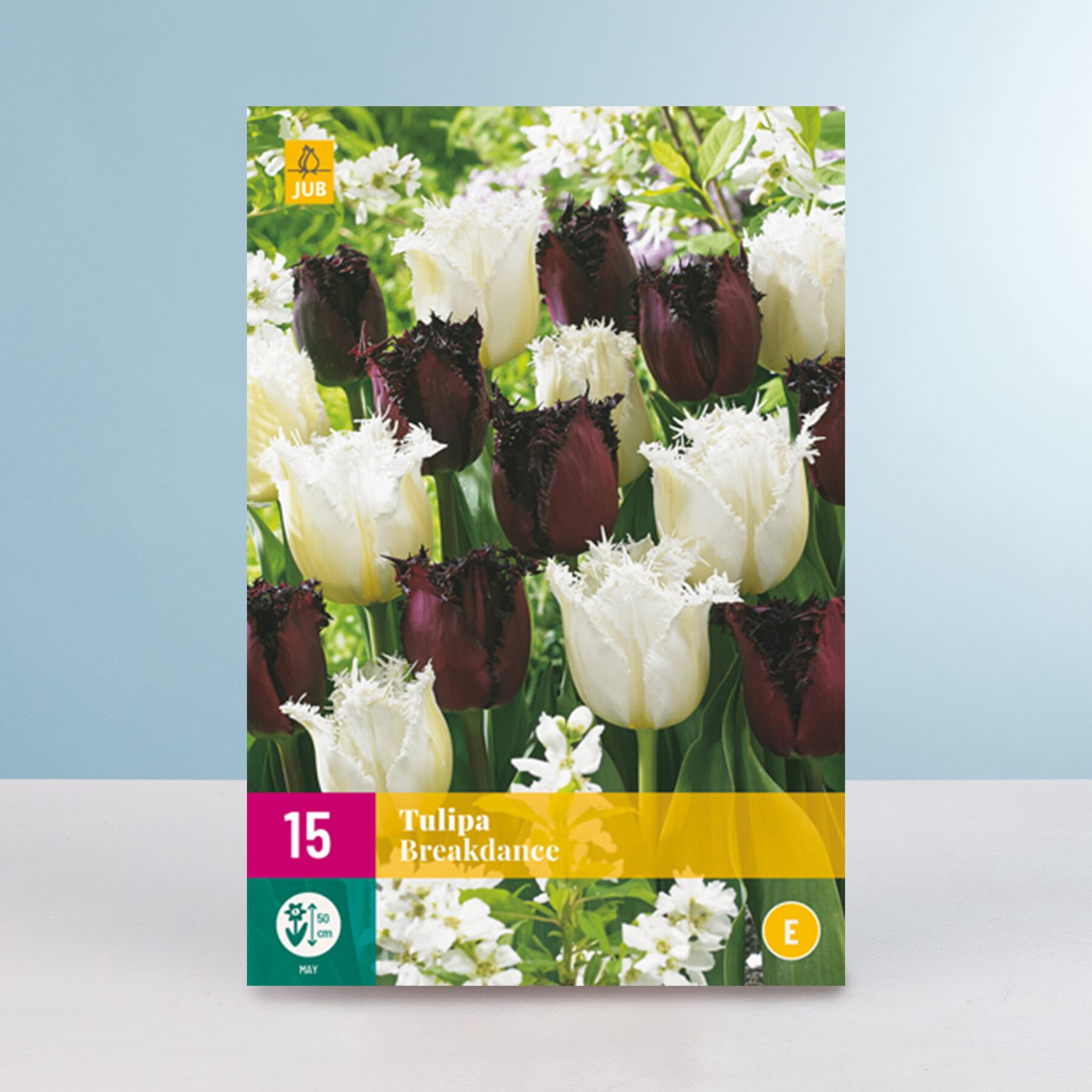 Tulpen 'Breakdance' Mix - 15 Zwiebeln