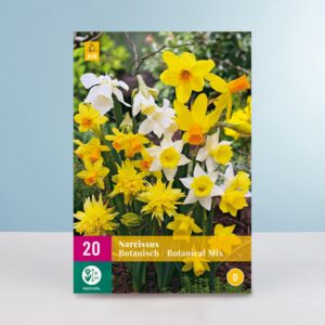 Botanischer Narzissen Mix - 20 Zwiebeln