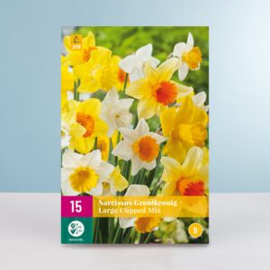 Narzissen 'Large Cupped' Mix - 15 Zwiebeln