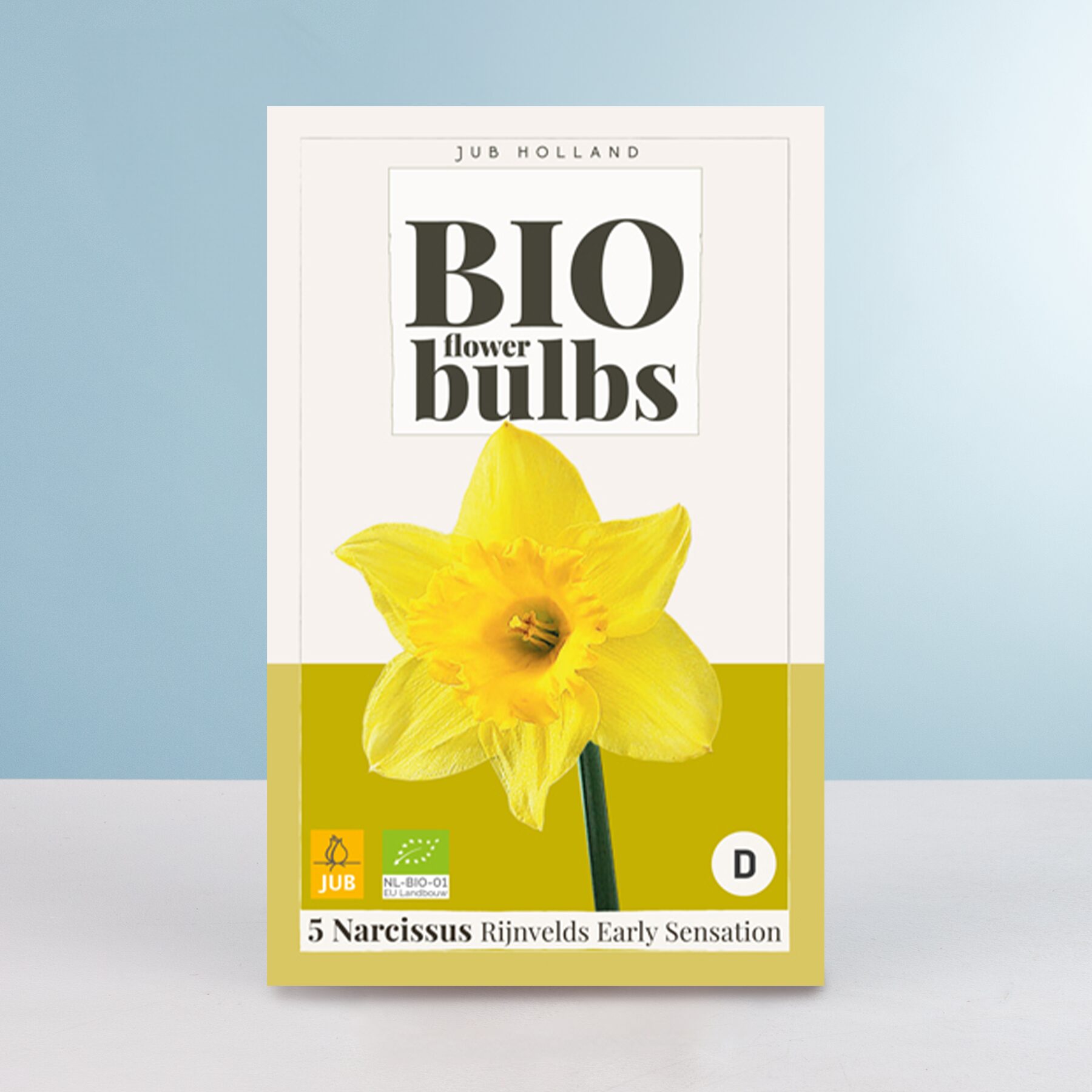 BIO Narzisse 'Rijnvelds Early Sensation' - 5 Zwiebeln