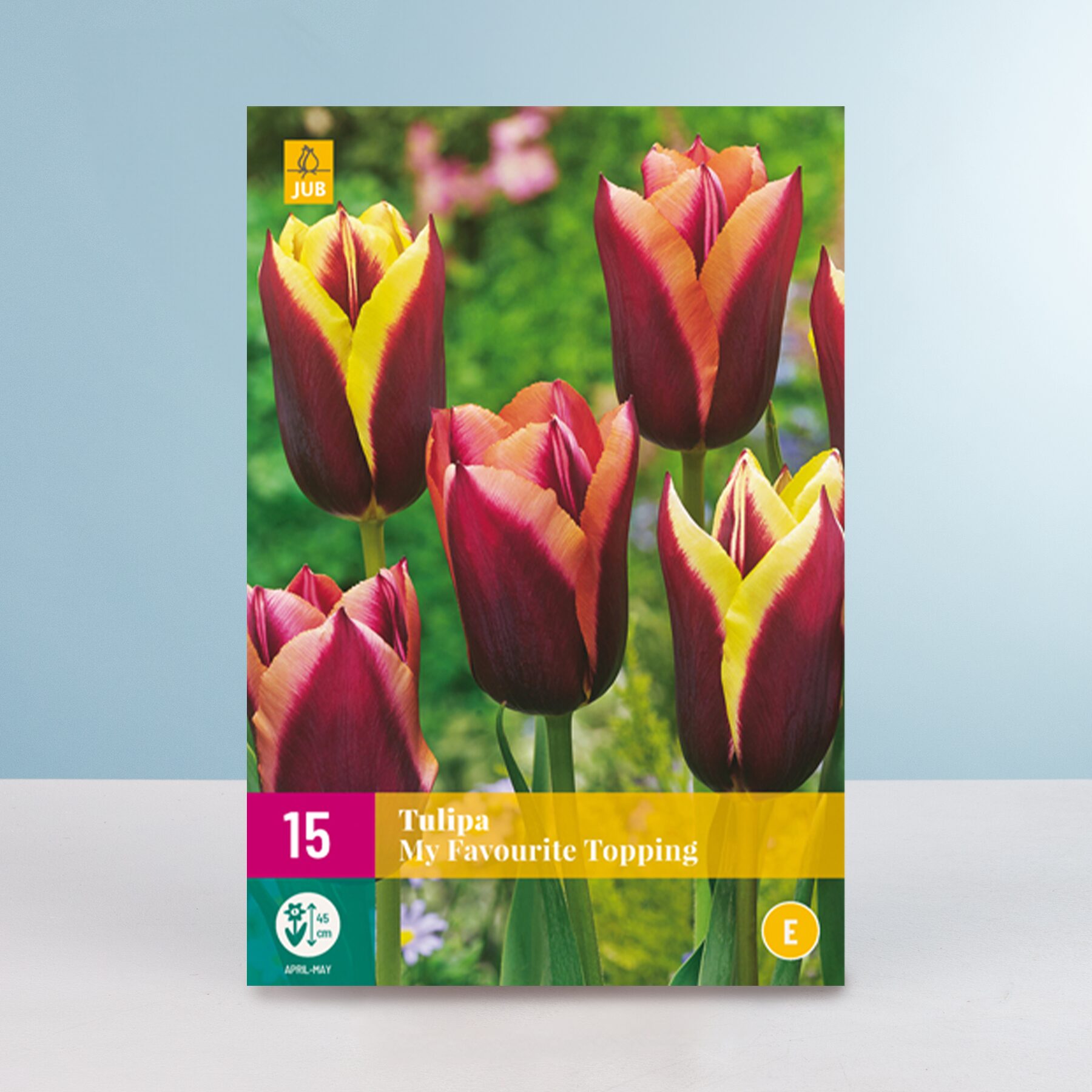 Tulpen 'My Favourite Topping' Mix - 15 Zwiebeln – Bild 2