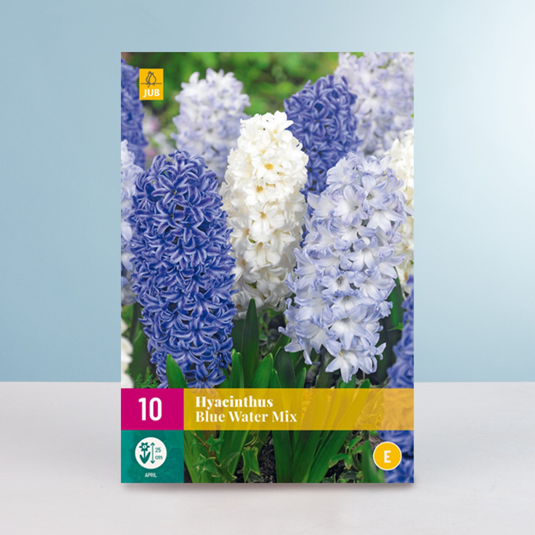 Hyazinthen 'Blue Water' Mix - 10 Zwiebeln