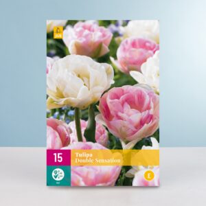 Tulpen 'Double Sensation' Mix - 15 Zwiebeln