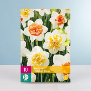 Narzissen 'Macaron Bloss' Mix - 10 Zwiebeln