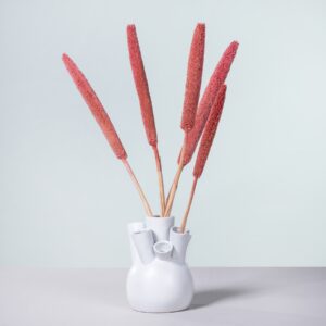 Trockenblumenbund Babala Pink