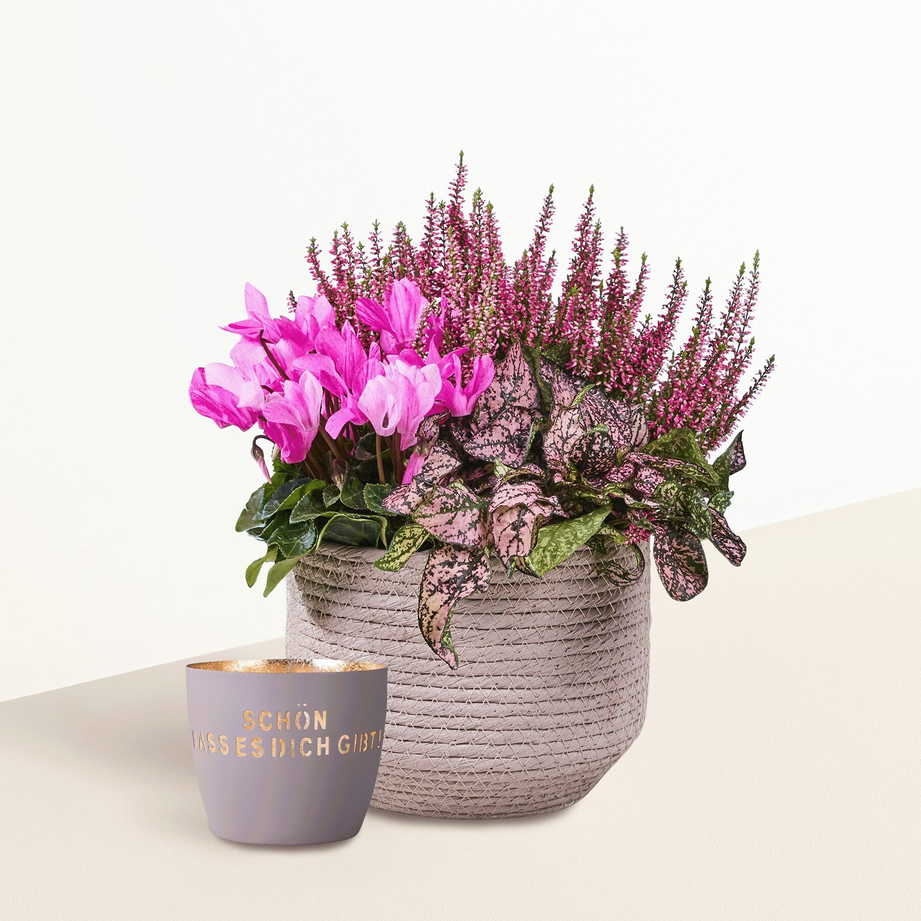 Pink Blush mit Windlicht Schön dass es dich gibt