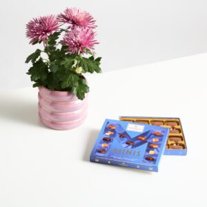 Purple Haze mit Mini-Pralinés-Vielfalt 120g