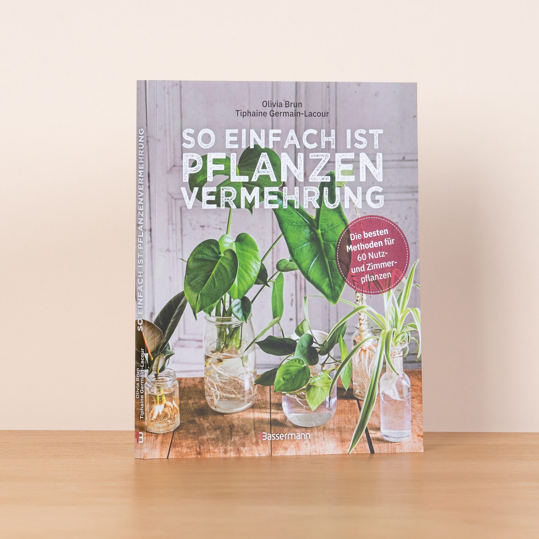 So einfach ist Pflanzenvermehrung - Buch, kartoniert