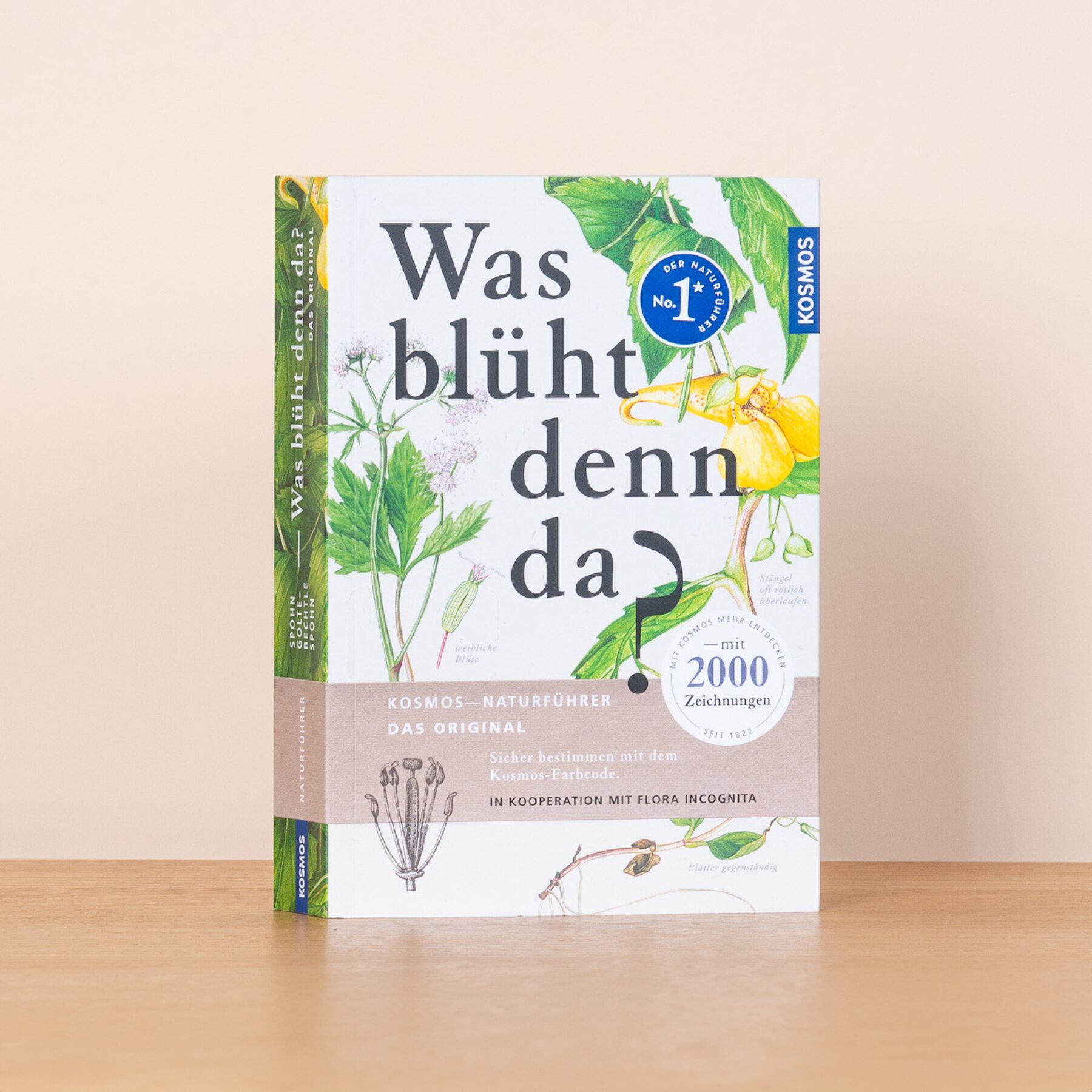 Was blüht denn da - Buch, kartoniert – Bild 2