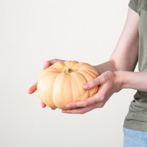 Butterkin Kürbis