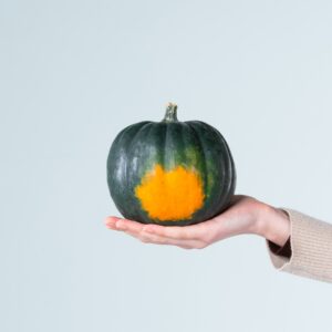 Zierkürbis 'Dark Boo'