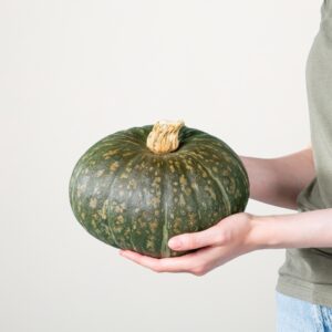 Zierkürbis 'Delica'