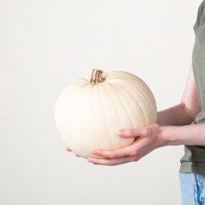 Halloween Kürbis 'Moonshine'