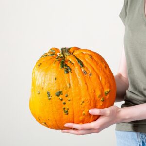 Halloween Kürbis 'Warted Goblin'